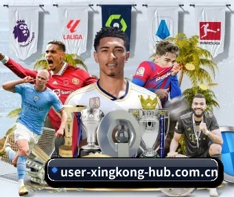 星空体育网页 APP（StarskySports）