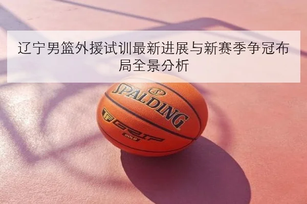 辽宁男篮外援试训最新进展与新赛季争冠布局全景分析